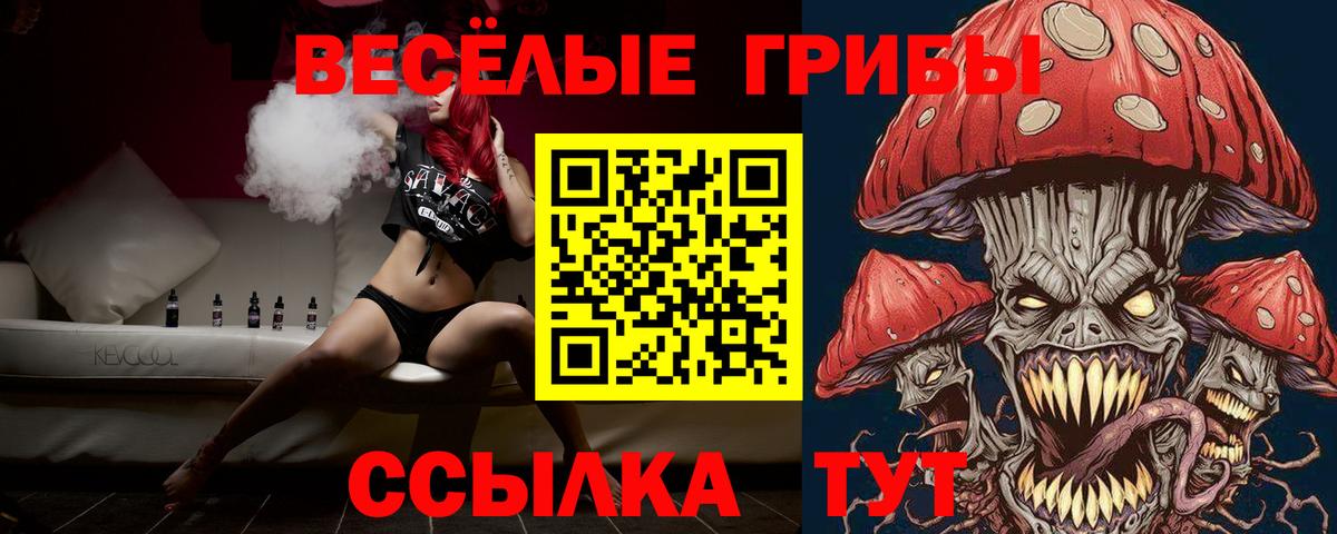 Вятские Поляны  Галлюциногенные грибы Psilocybine cubensis  Псилоцибиновые грибы Psilocybine cubensis  Вход с VPN 