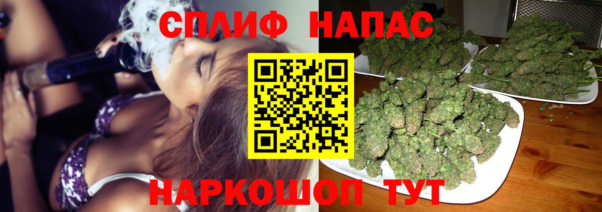 Вятские Поляны  Канабис планчик  Канабис сатива  Вход с VPN  Шишки марихуана ГИДРОПОН 